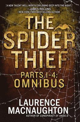 bokomslag The Spider Thief