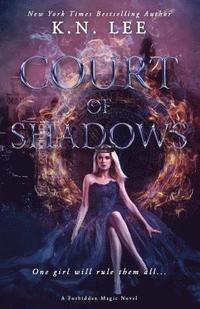 bokomslag Court of Shadows