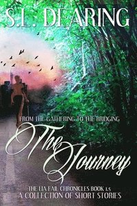 bokomslag The Journey: From The Gathering To The Bridging: The Lia Fail Chronicles Book 1.5 - A Collection of Short Stories