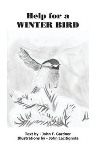 bokomslag Help for a Winter Bird: A Story for Beginning readers