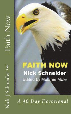 bokomslag Faith Now: A 40 Day Devotional