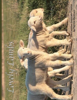 Lovely Lambs: The Creative Grayscale Colorist 1