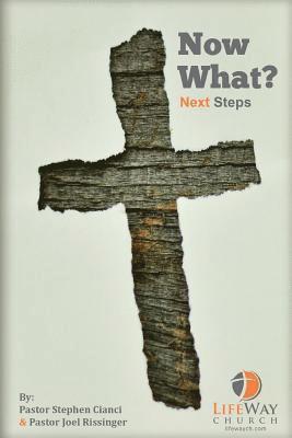 bokomslag Now What?: The LifeWay, Way of Living