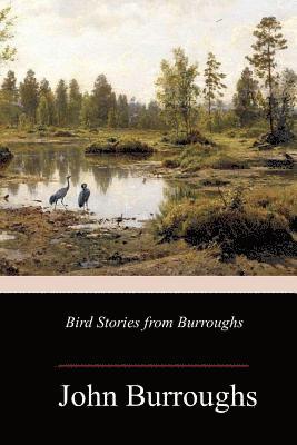 bokomslag Bird Stories from Burroughs