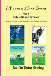 bokomslag A Treasury of Short Stories (size 6x9): Bible Based Stories