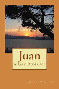 bokomslag Juan: A Gay Romance