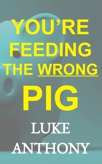 bokomslag You're Feeding The Wrong Pig: How to abandon America's devastating relationship with credit forever and save a quarter million dollars.