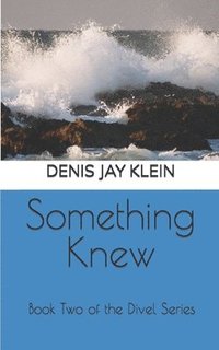 bokomslag Something Knew: Book Two of the Divel Series