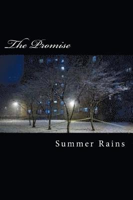 bokomslag The Promise