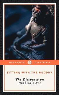 bokomslag Sitting with the Buddha: The Discourse on Brahma's Net
