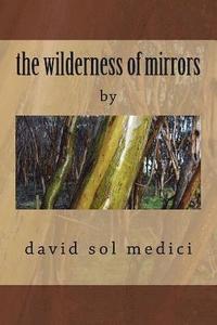 bokomslag The wilderness of mirrors: na