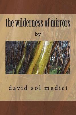 The wilderness of mirrors: na 1