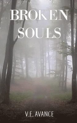 bokomslag Broken Souls