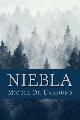 bokomslag Niebla