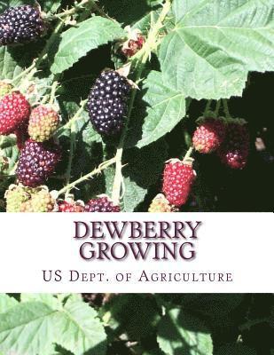 bokomslag Dewberry Growing: Farmers' Bulletin 1403