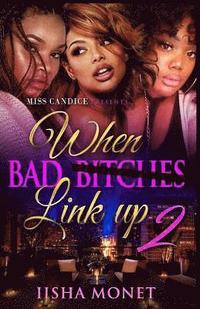 bokomslag When Bad Bitches Link Up 2