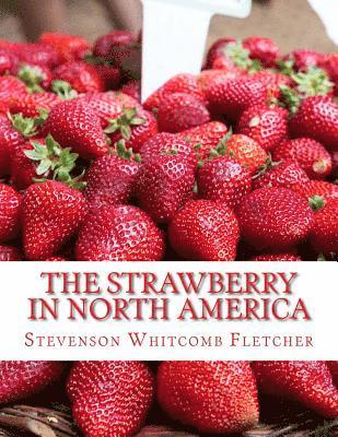 bokomslag The Strawberry In North America: History, Origin, Botany and Breeding