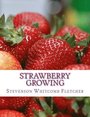 Strawberry Growing 1