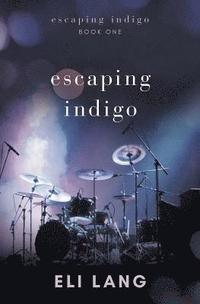 bokomslag Escaping Indigo