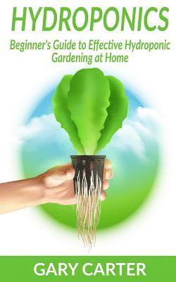 bokomslag Hydroponics: Beginner's Guide to Effective Hydroponic Gardening at Home