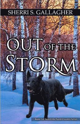 Out of the Storm: Book 2 of Search the North Country Series 1