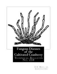 bokomslag Fungous Diseases of the Cultivated Cranberry: Technical Bulletin No. 258