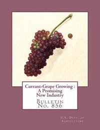 bokomslag Currant-Grape Growing: A Promising New Industry: Bulletin No. 856