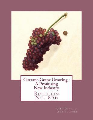 George C. Husmann - Currant-Grape Growing: A Promising New Industry: Bulletin No. 856, Häftad