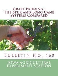 bokomslag Grape Pruning: The Spur and Long Cane Systems Compared: Bulletin No. 160