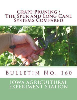 Grape Pruning: The Spur and Long Cane Systems Compared: Bulletin No. 160 1