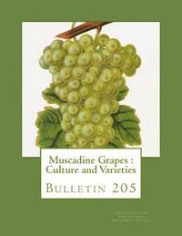 bokomslag Muscadine Grapes: Culture and Varieties: Bulletin 205