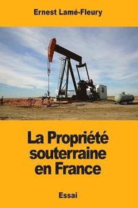 bokomslag La Propriété souterraine en France