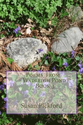 bokomslag Poems from Wadleigh Pond Book 3