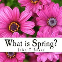 bokomslag What is Spring?