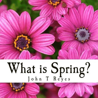 What is Spring? 1