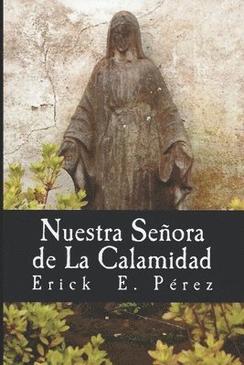 Nuestra Señora de La Calamidad 1