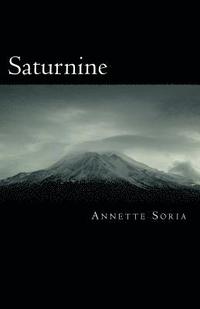bokomslag Saturnine