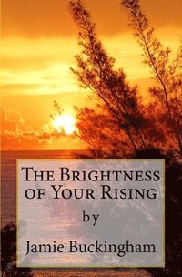 bokomslag The Brightness of Your Rising