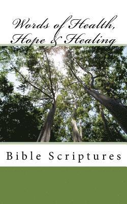 bokomslag Words of Health, Hope & Healing: Bible Scriptures