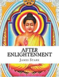 bokomslag After Enlightenment