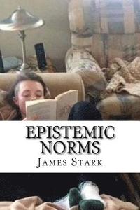 bokomslag Epistemic Norms