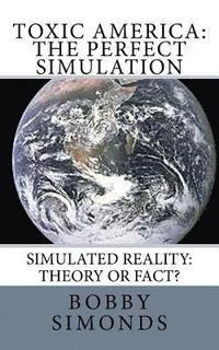 bokomslag Toxic America: The Perfect Simulation: Simulated Reality Theory, or Fact?