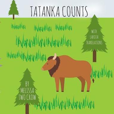 bokomslag Tatanka Counts