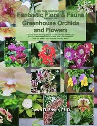 bokomslag Big Kids Coloring Book: Fantastic Flora and Fauna: Volume Four - Greenhouse Orchids and Flowers