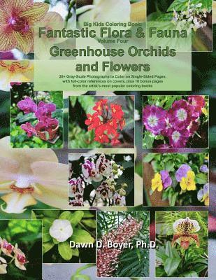 bokomslag Big Kids Coloring Book: Fantastic Flora and Fauna: Volume Four - Greenhouse Orchids and Flowers