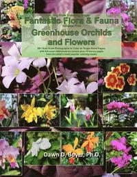 bokomslag Big Kids Coloring Book: Fantastic Flora and Fauna: Volume Five - Greenhouse Orchids and Flowers