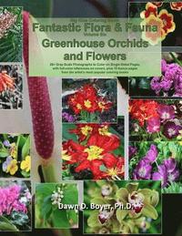 bokomslag Big Kids Coloring Book: Fantastic Flora and Fauna: Volume Six - Greenhouse Orchids and Flowers
