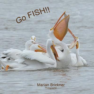 Go Fish! 1
