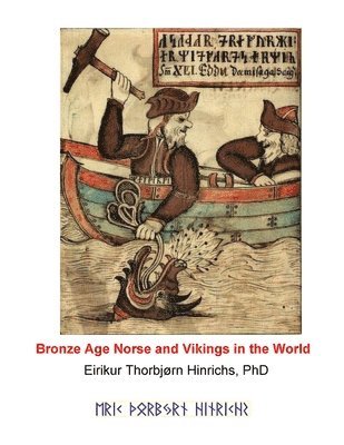 Eric Burger Hinrichs - Bronze Age Norse and Vikings in the World: 3000 Years of Linguistic and Scientific Evidence, Häftad