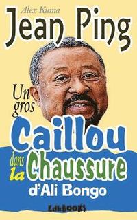 bokomslag Un gros caillou dans la chaussure d'Ali Bongo